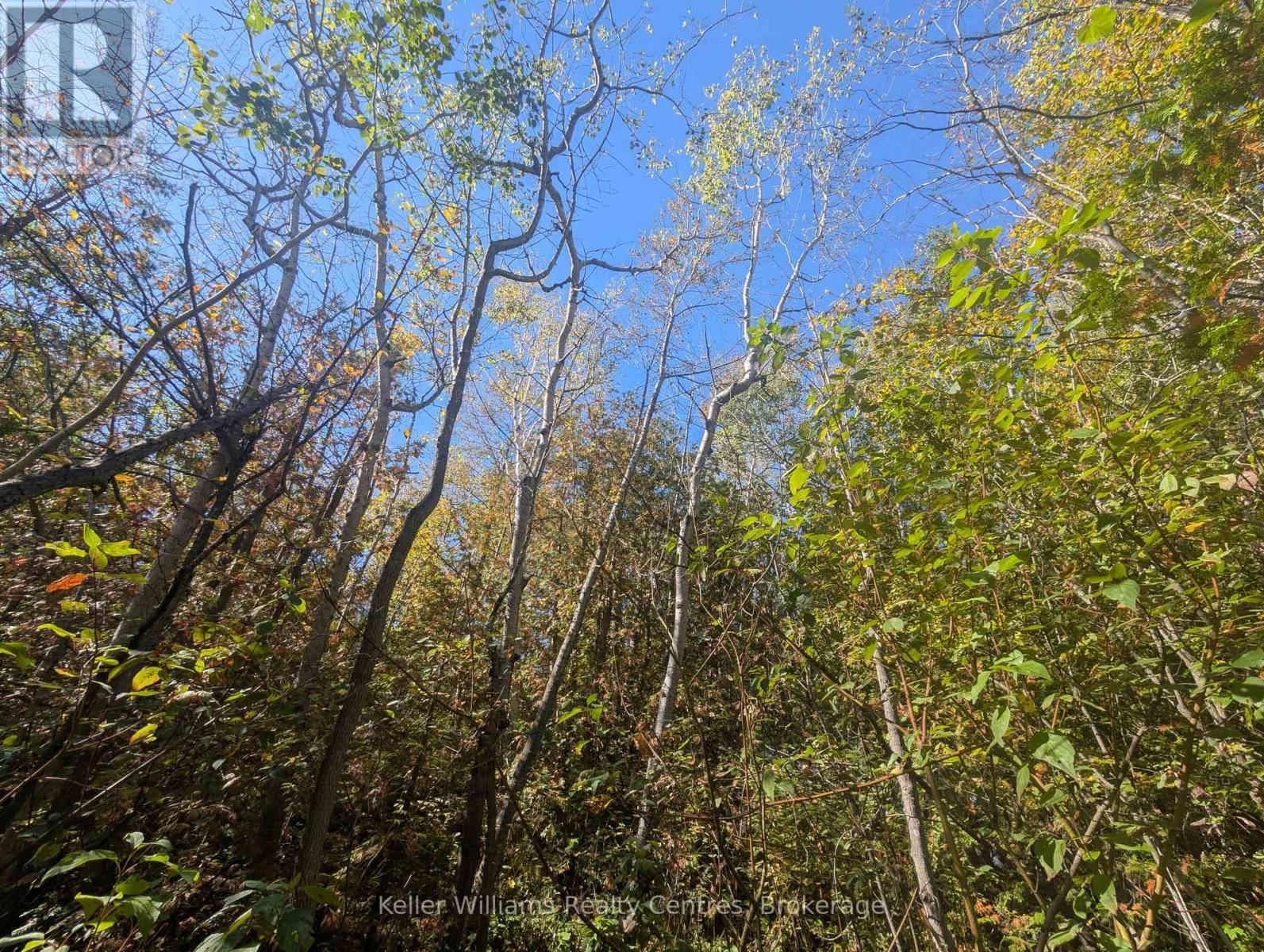 LT 166 MALLORY BEACH ROAD Image 12