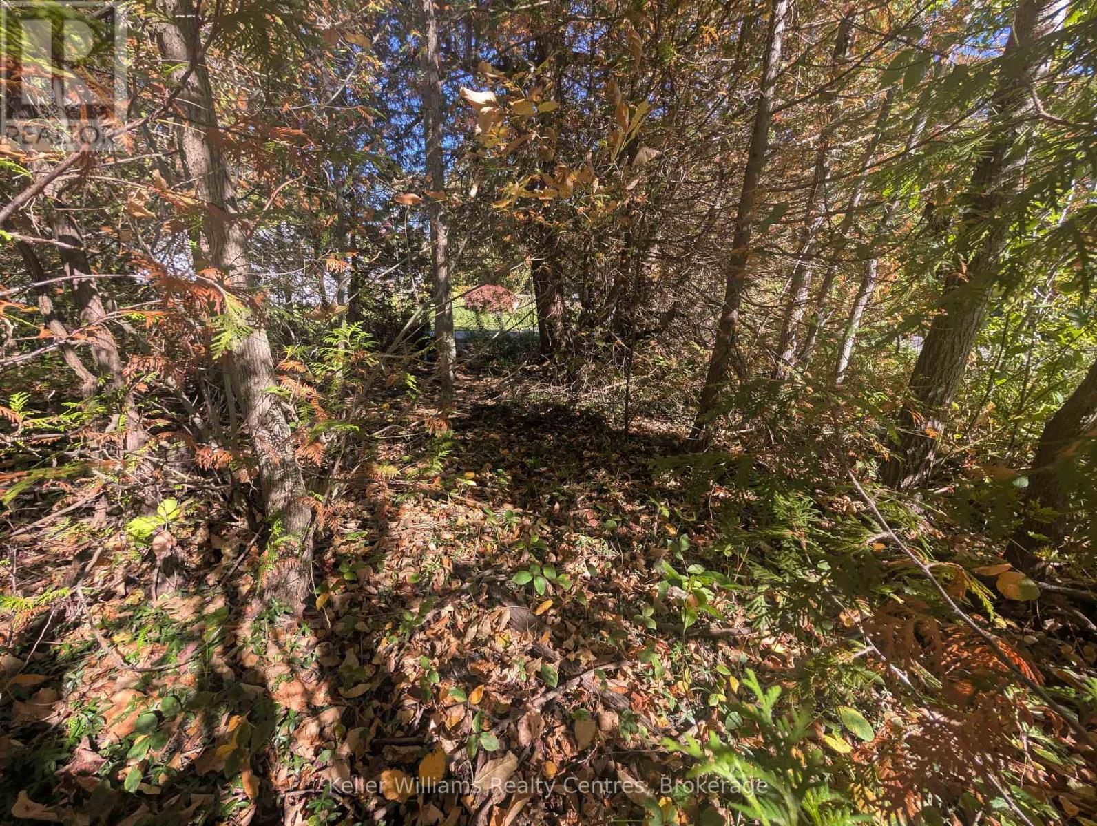 LT 166 MALLORY BEACH ROAD Image 13