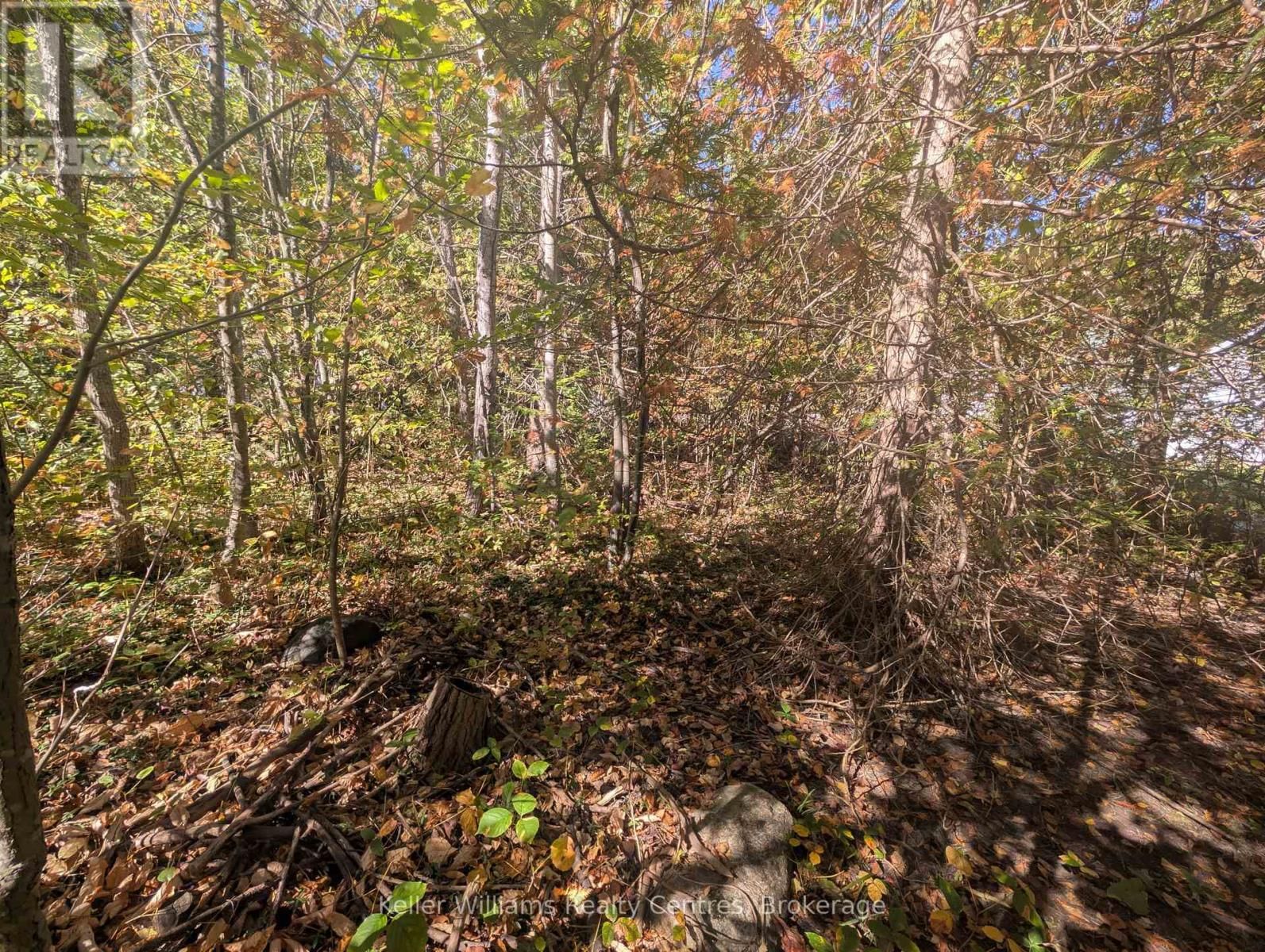 LT 166 MALLORY BEACH ROAD Image 15