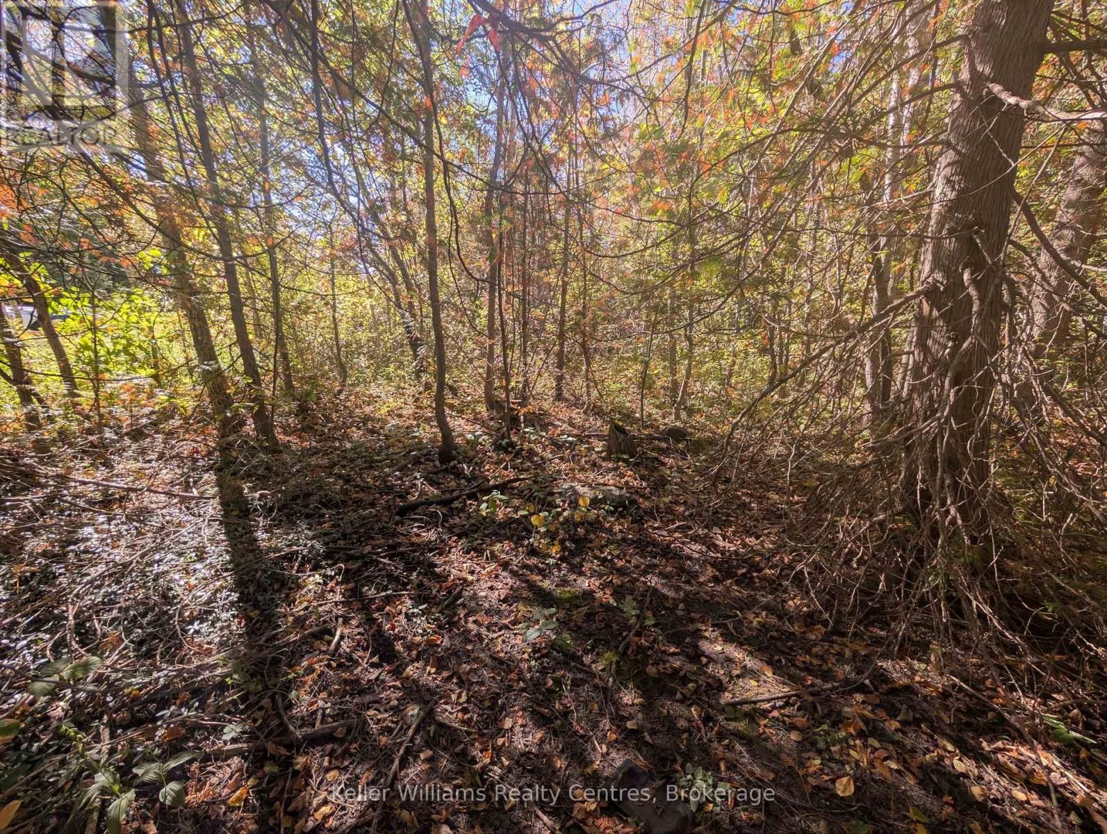 LT 166 MALLORY BEACH ROAD Image 18