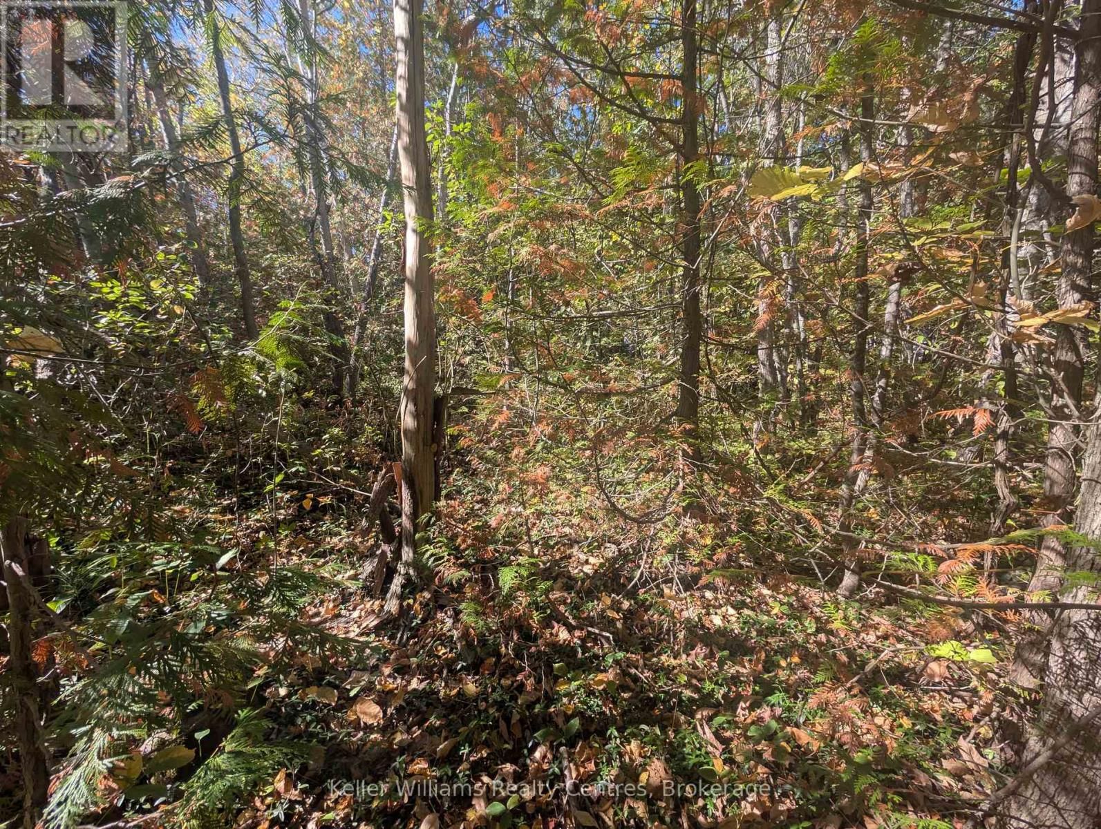 LT 166 MALLORY BEACH ROAD Image 19