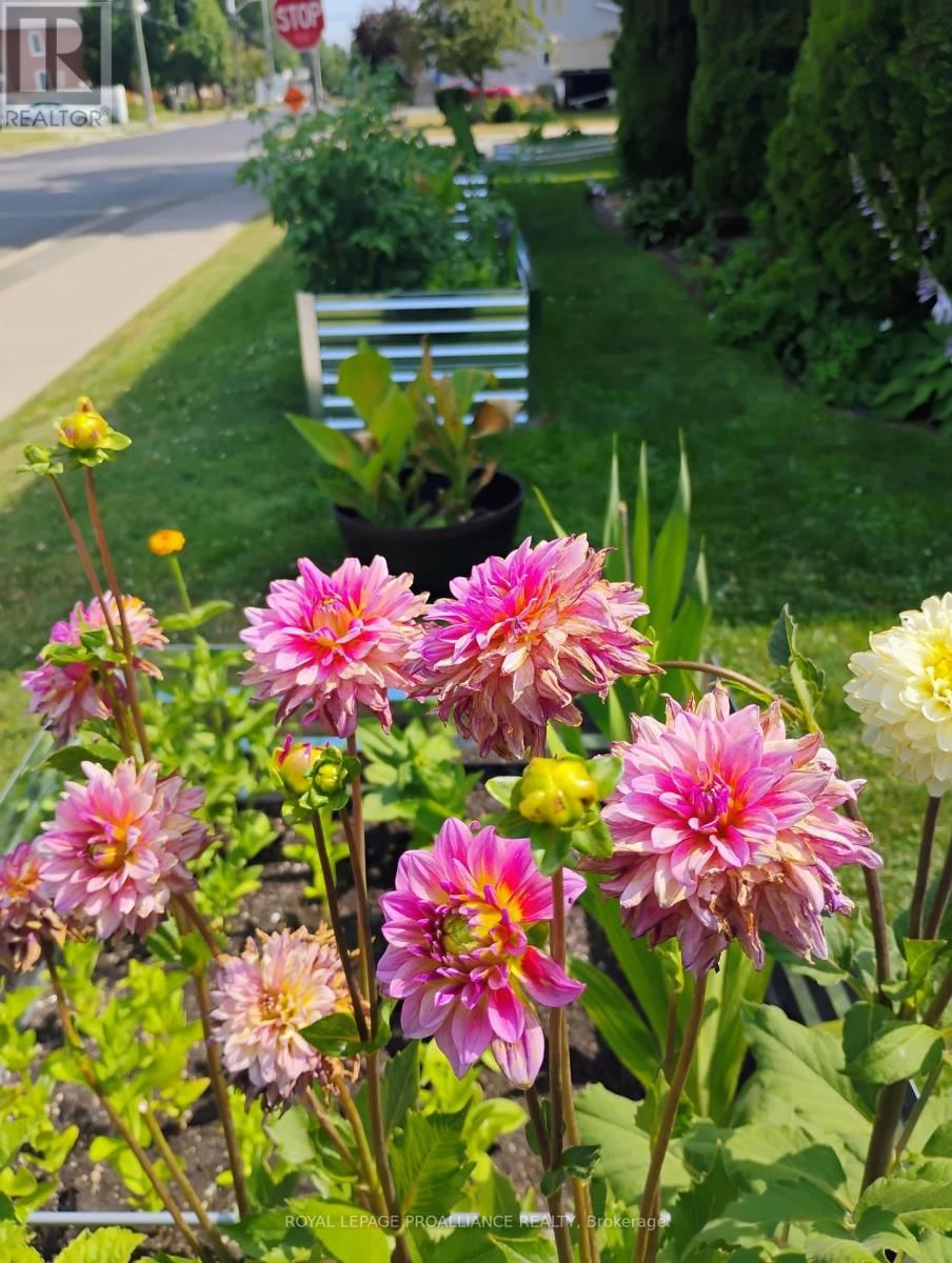 30 CATHARINE STREET Image 33