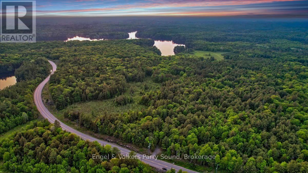 53 BIRDWOOD LANE Image 42