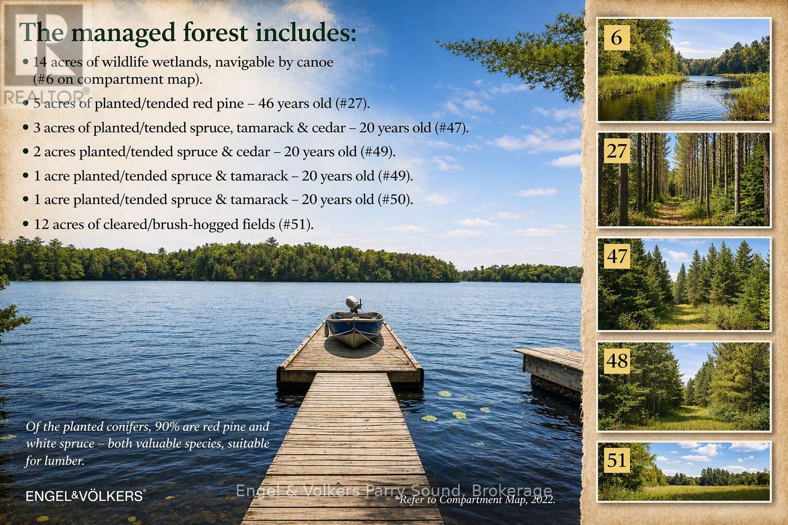 53 BIRDWOOD LANE Image 44