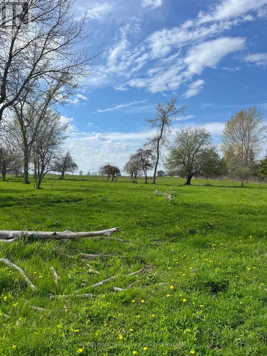 PT LT 8 NINE MILE POINT ROAD Image 9