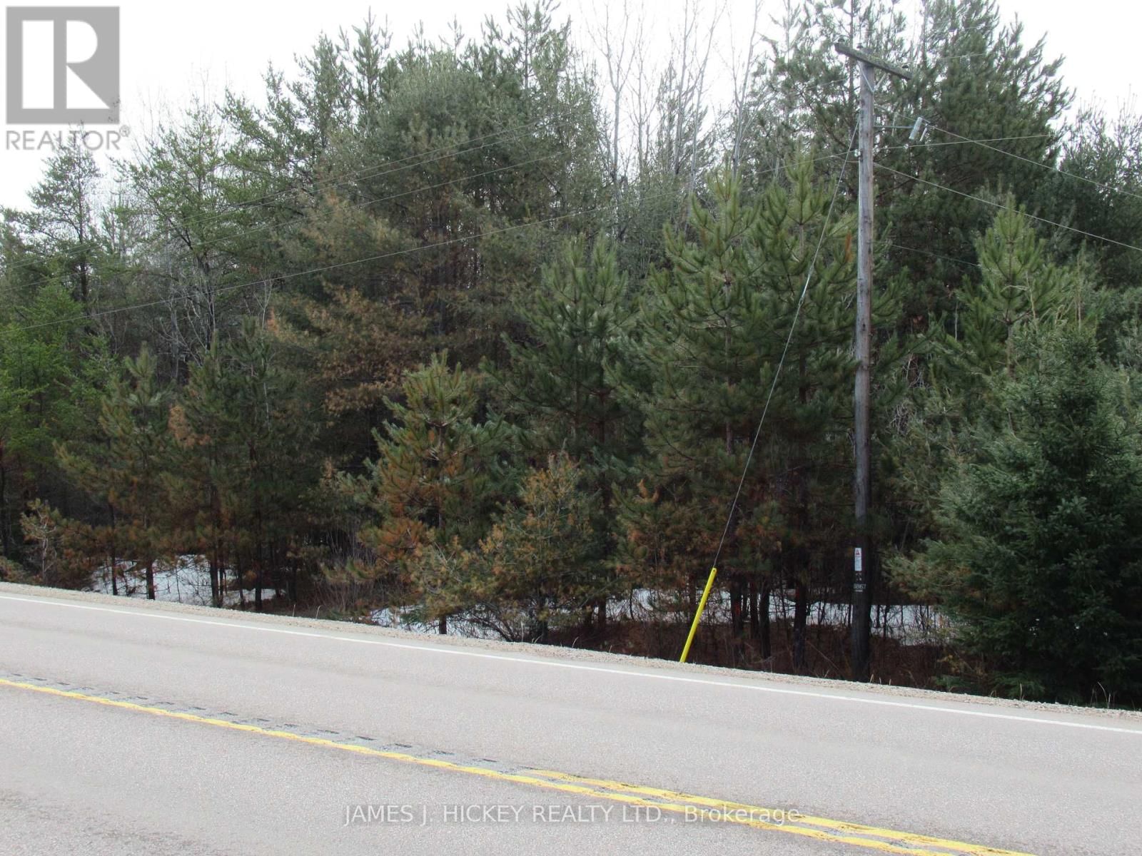 38589 HWY 17 HIGHWAY Image 3