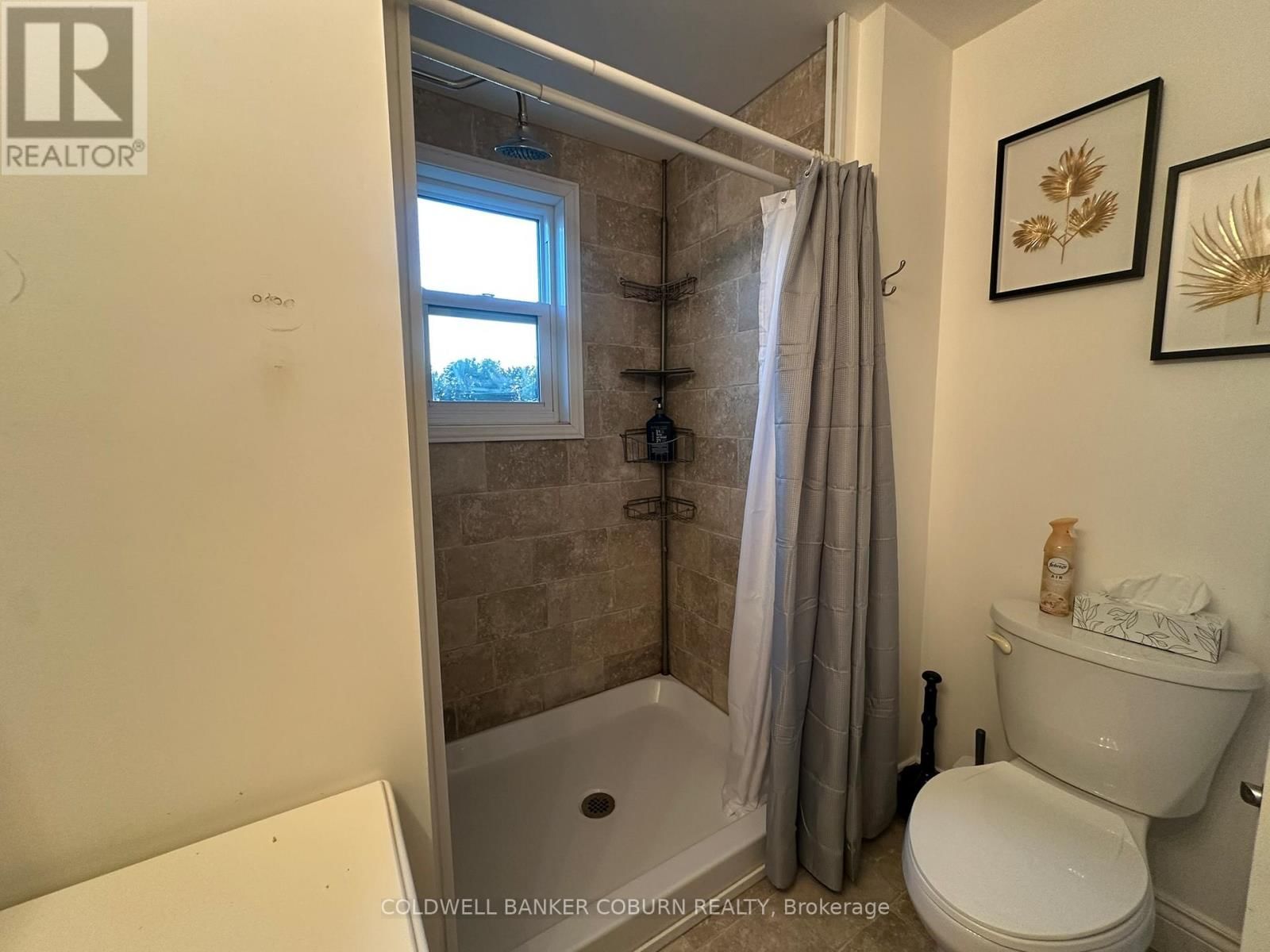 22 CASSELMAN ROAD Image 10