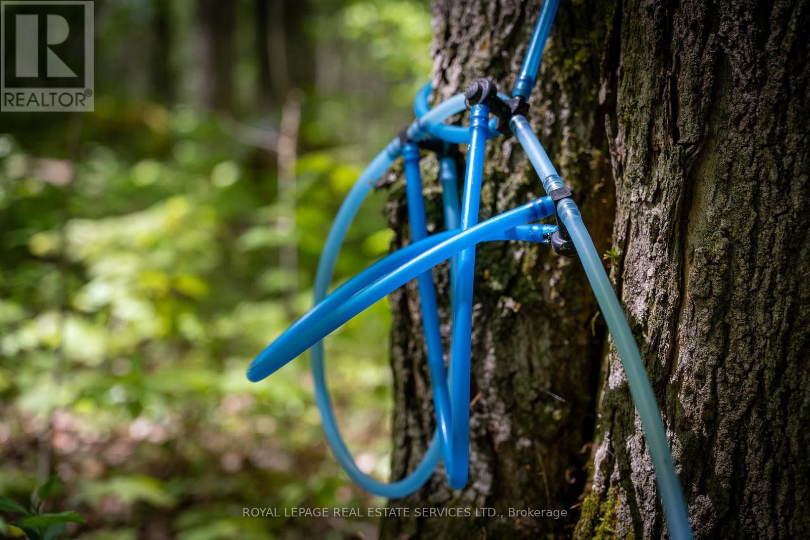 Pt Lot 13 CONCESSION 7 CORNERS Image 25