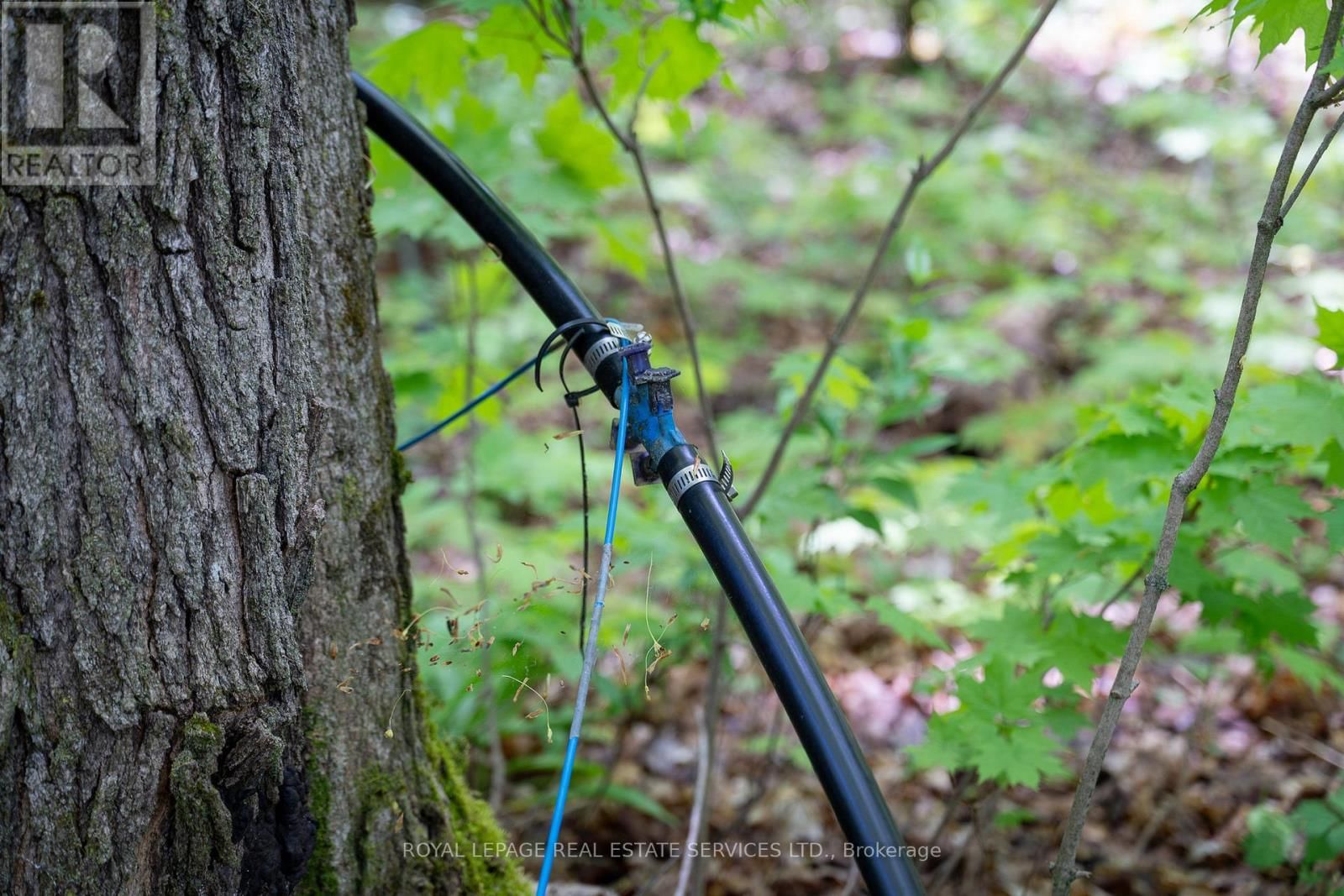 Pt Lot 13 CONCESSION 7 CORNERS Image 26