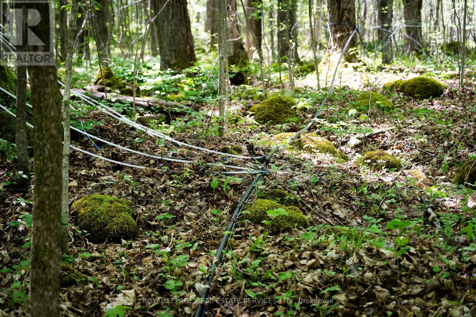 Pt Lot 13 CONCESSION 7 CORNERS Image 27