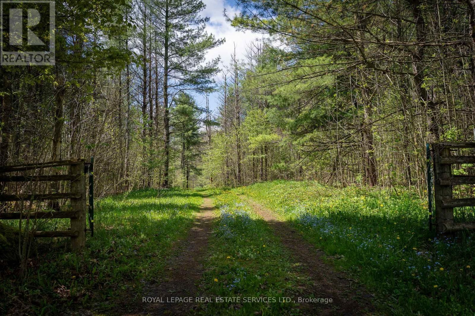 Pt Lot 13 CONCESSION 7 CORNERS Image 6