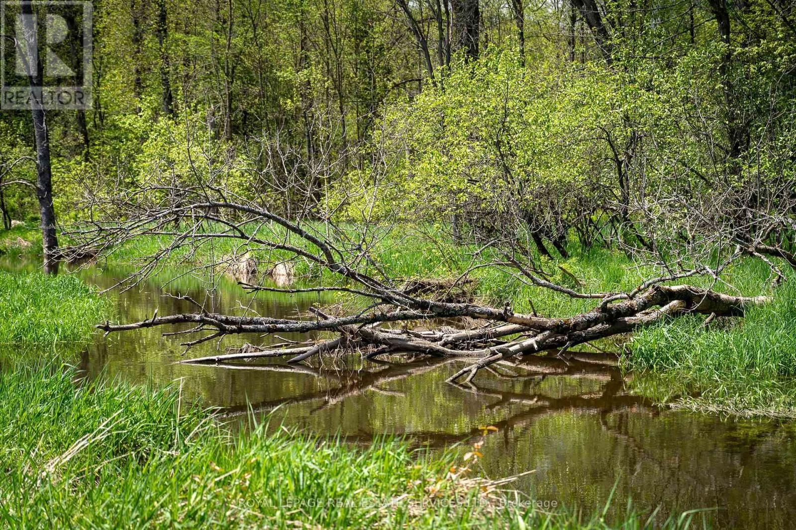 Pt Lot 13 CONCESSION 7 CORNERS Image 7