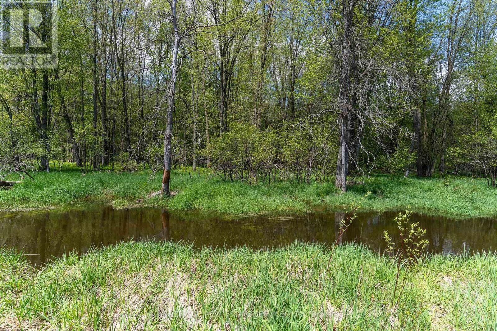 Pt Lot 13 CONCESSION 7 CORNERS Image 9