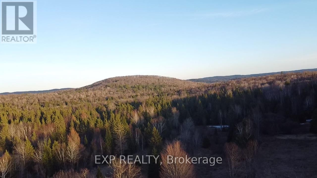 98 KENNEDY ROAD Image 13