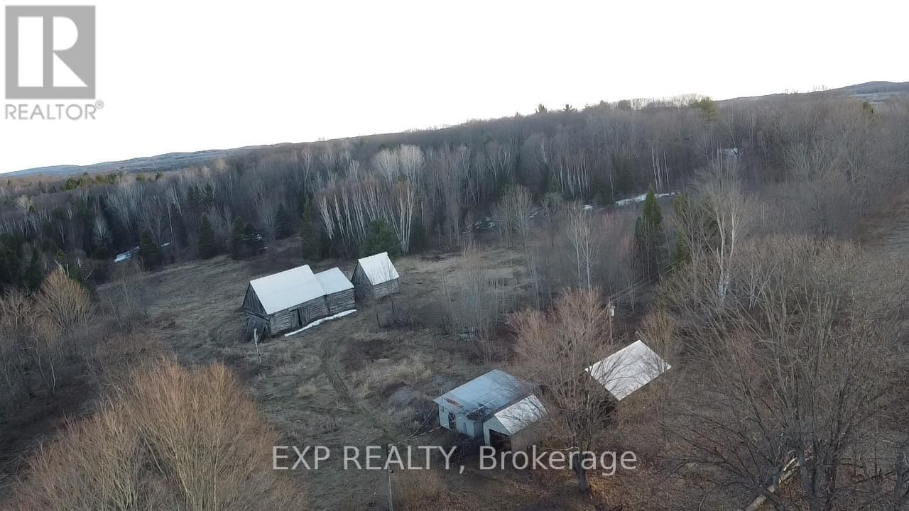 98 KENNEDY ROAD Image 14