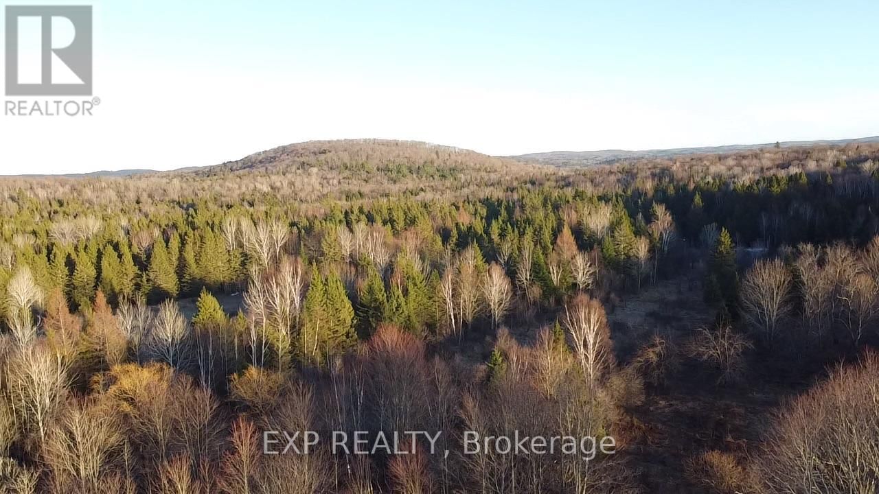 98 KENNEDY ROAD Image 15