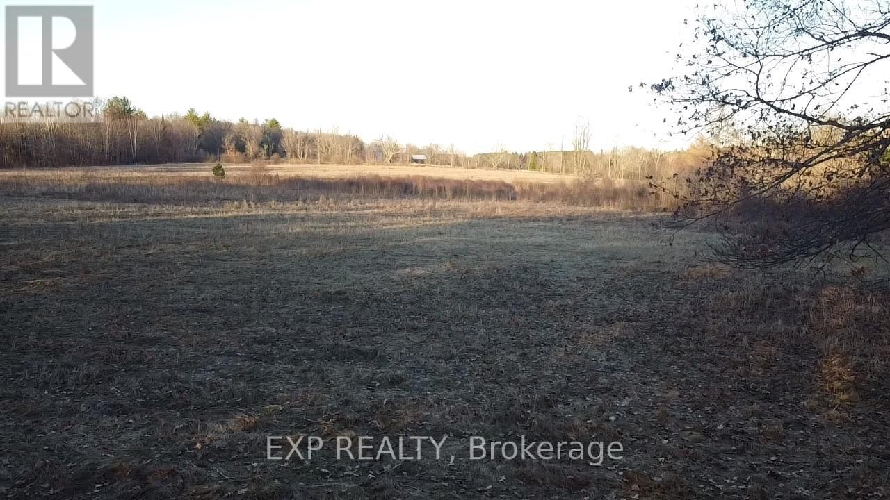 98 KENNEDY ROAD Image 16