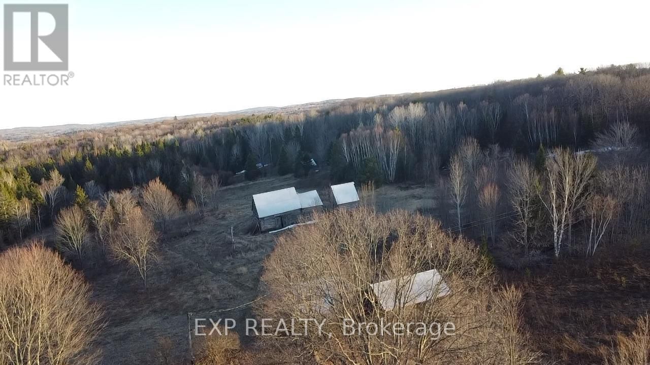 98 KENNEDY ROAD Image 17