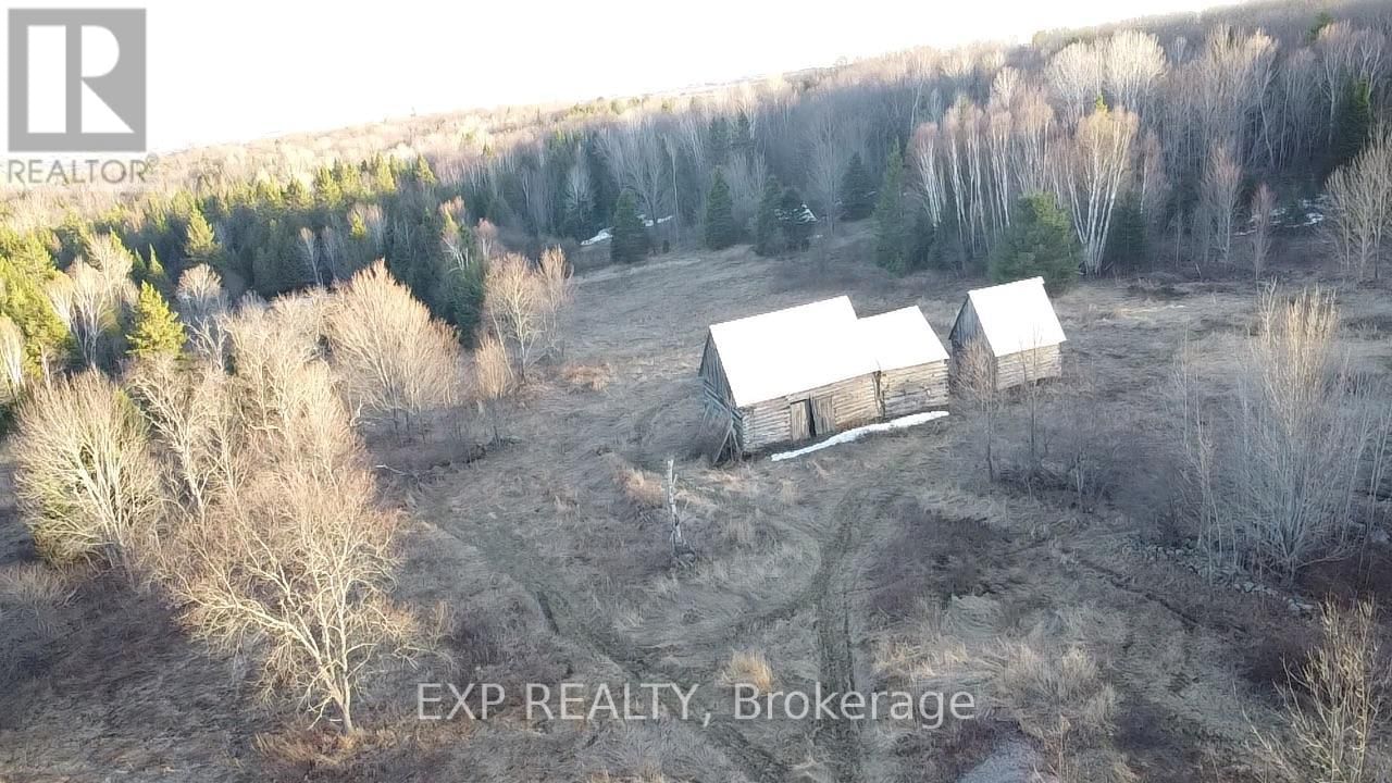 98 KENNEDY ROAD Image 21