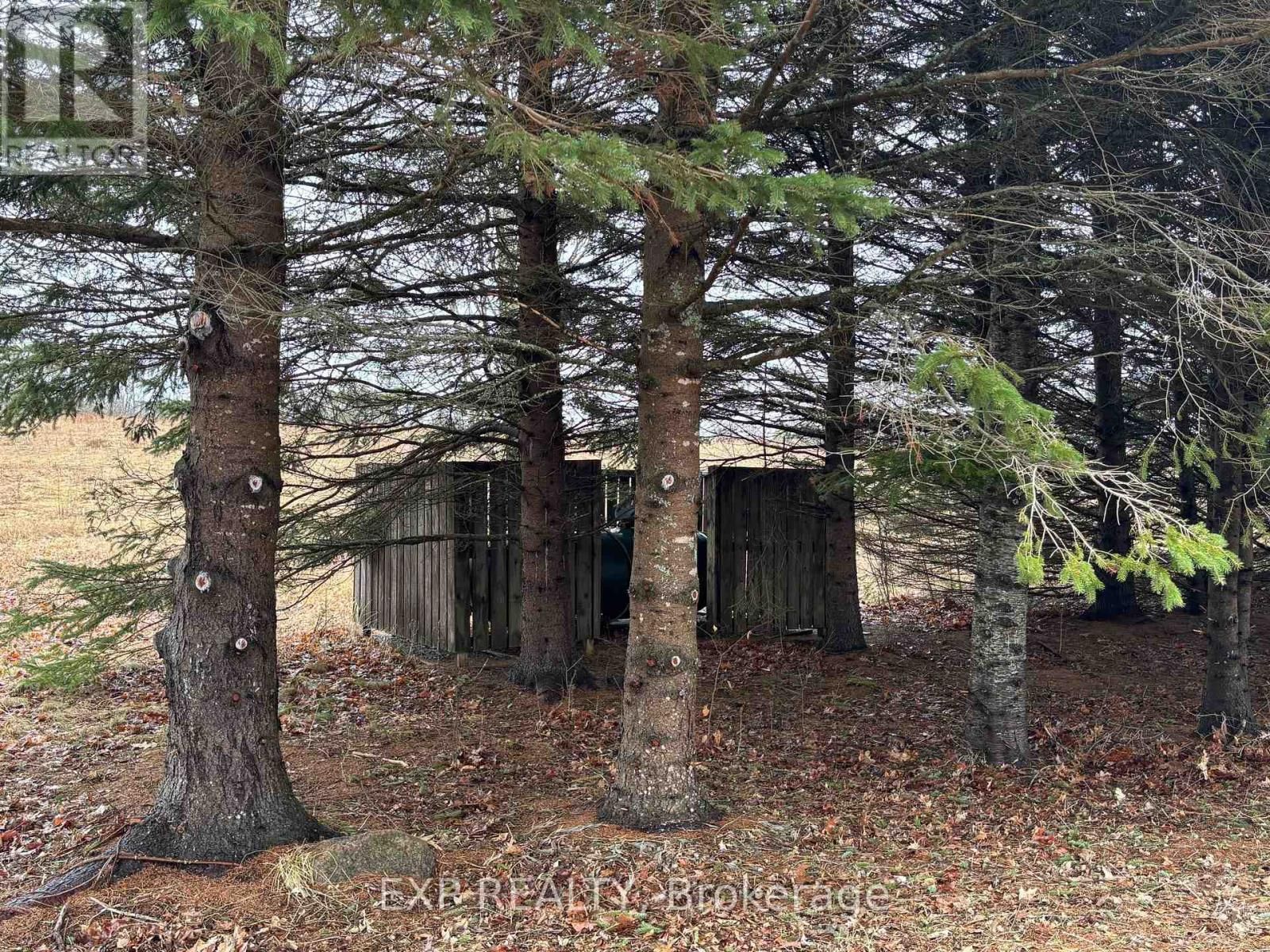 98 KENNEDY ROAD Image 28