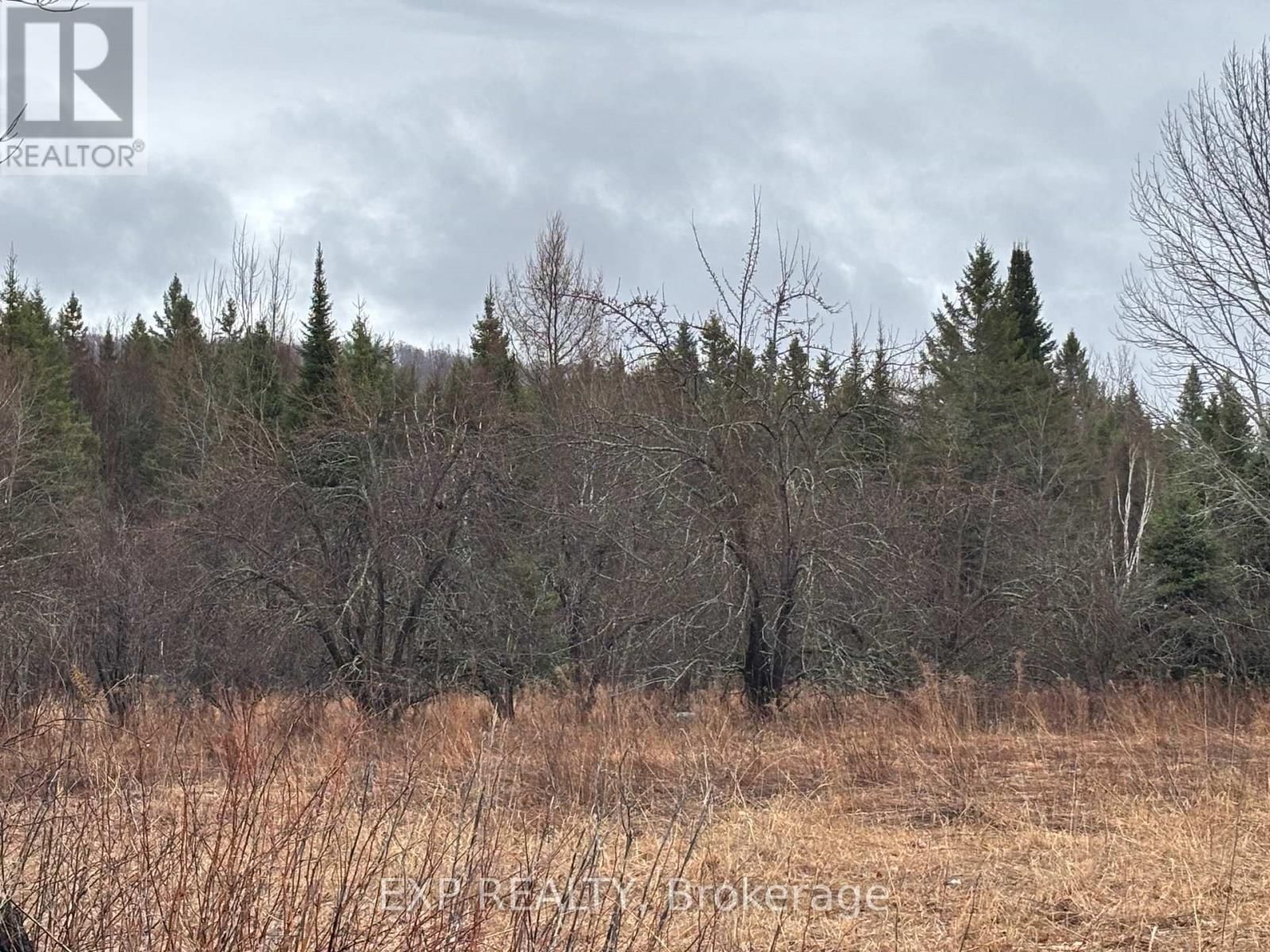 98 KENNEDY ROAD Image 30