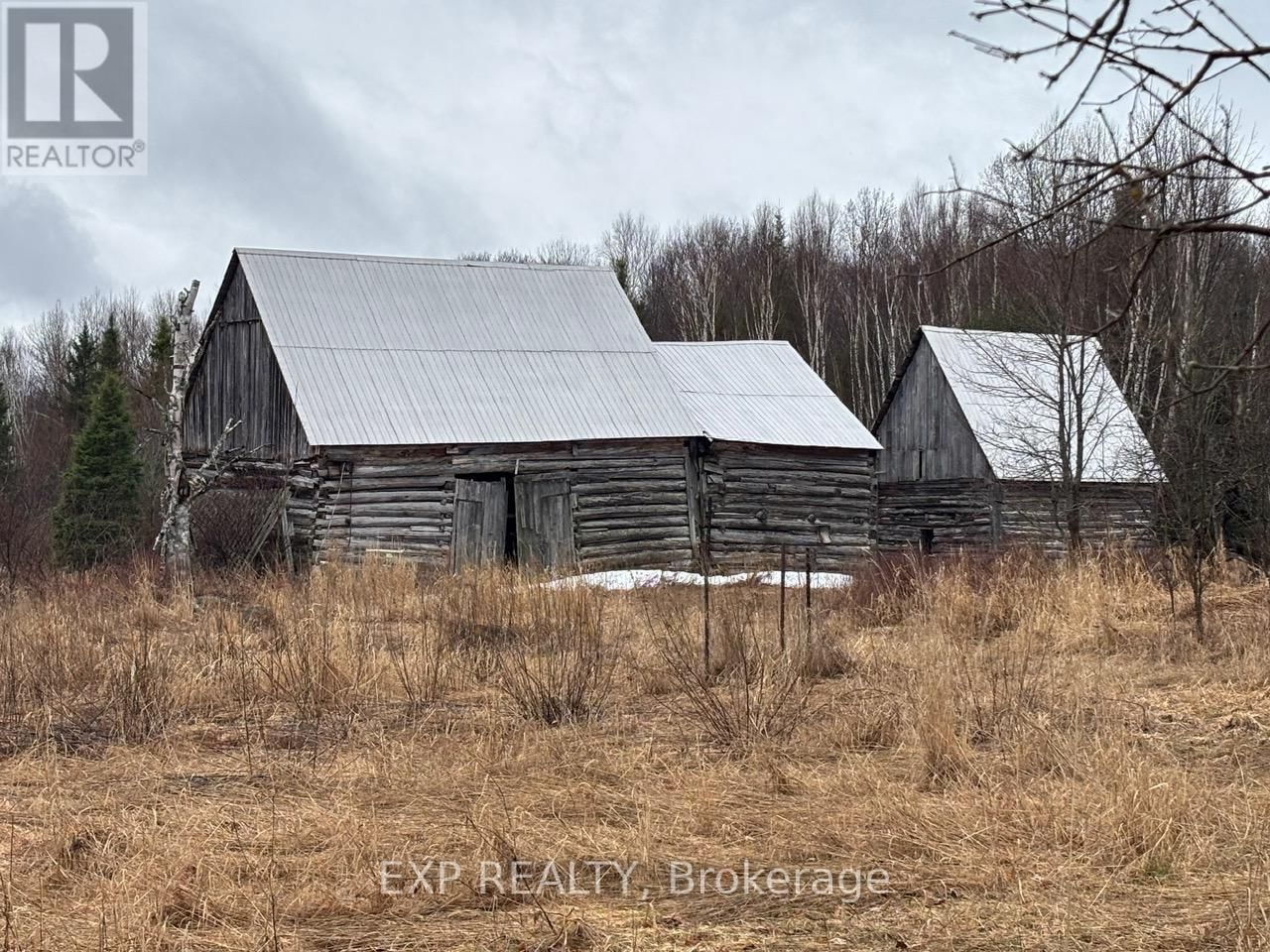 98 KENNEDY ROAD Image 32