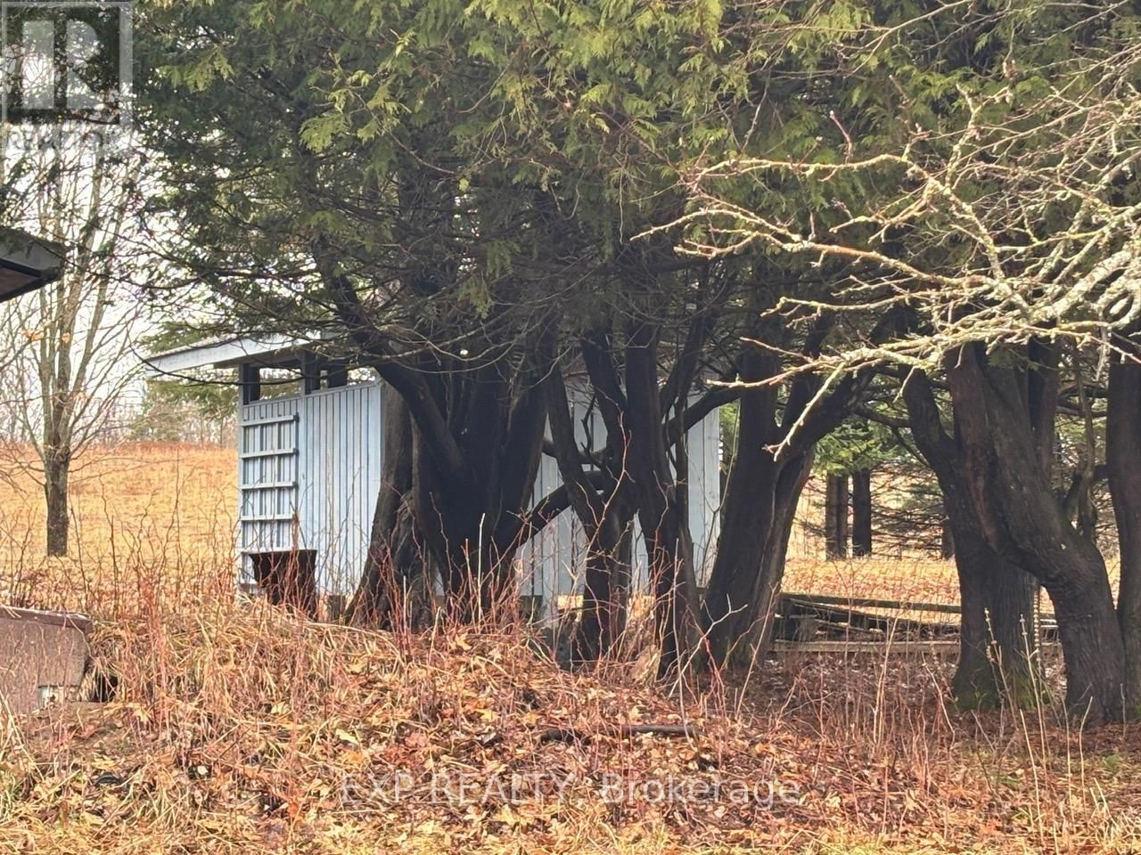 98 KENNEDY ROAD Image 34