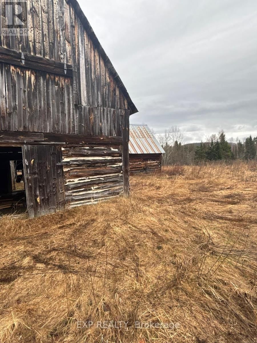 98 KENNEDY ROAD Image 40