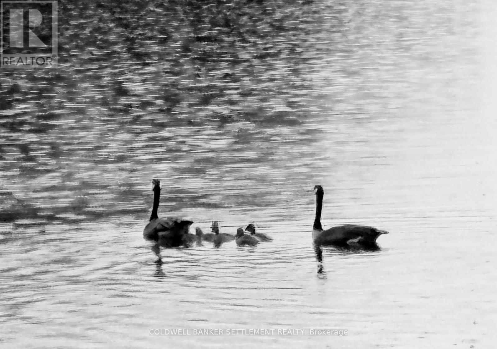 327 CLEAR LAKE LANE 31 LANE Image 27