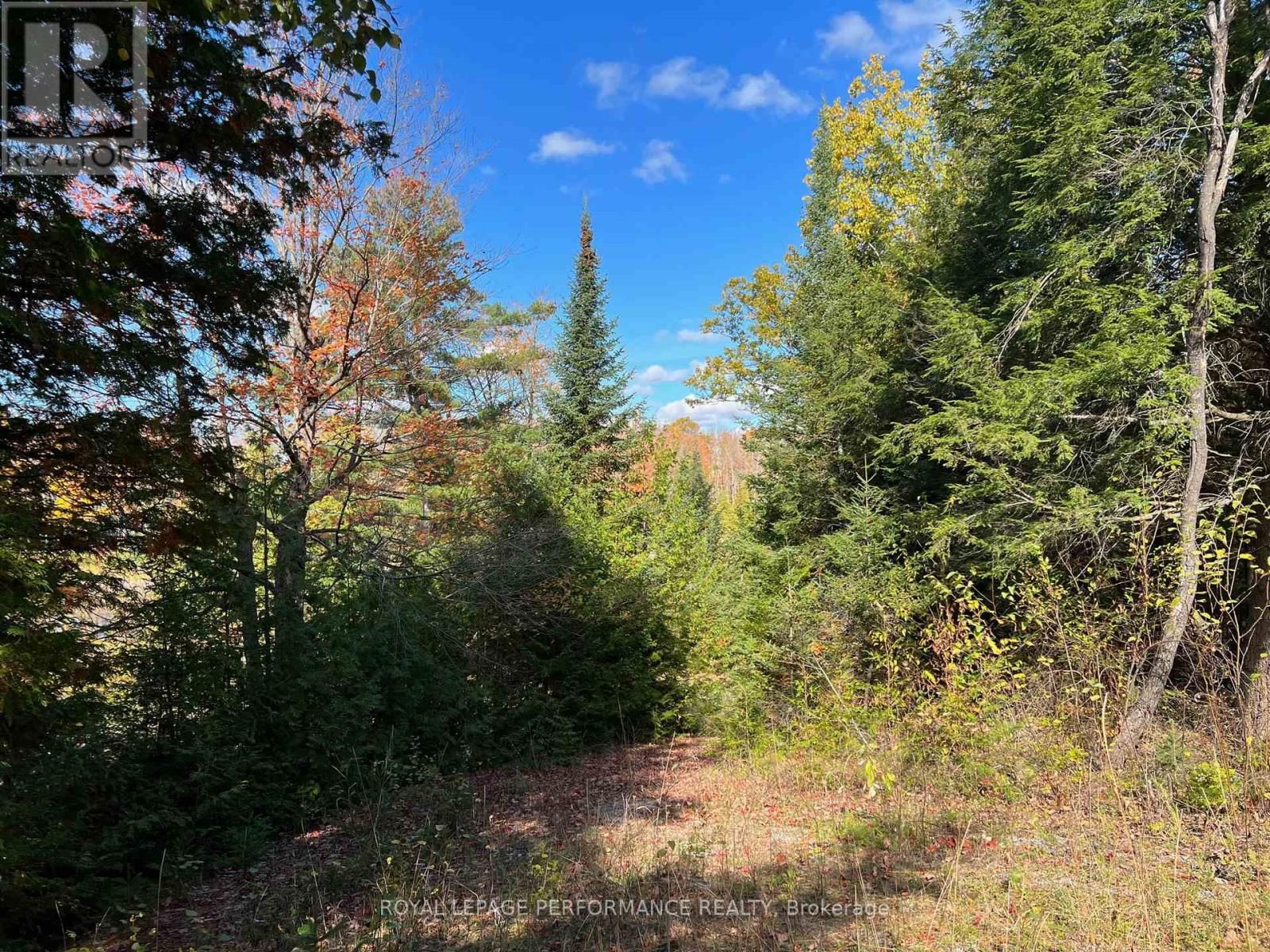 304 LACOURSE LANE Image 3