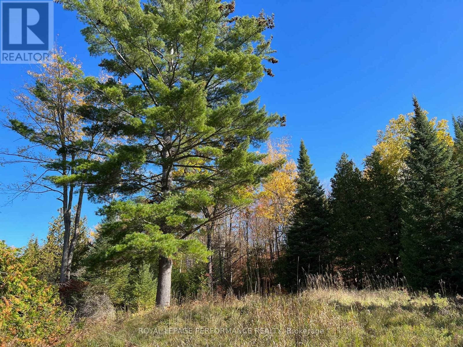 304 LACOURSE LANE Image 6