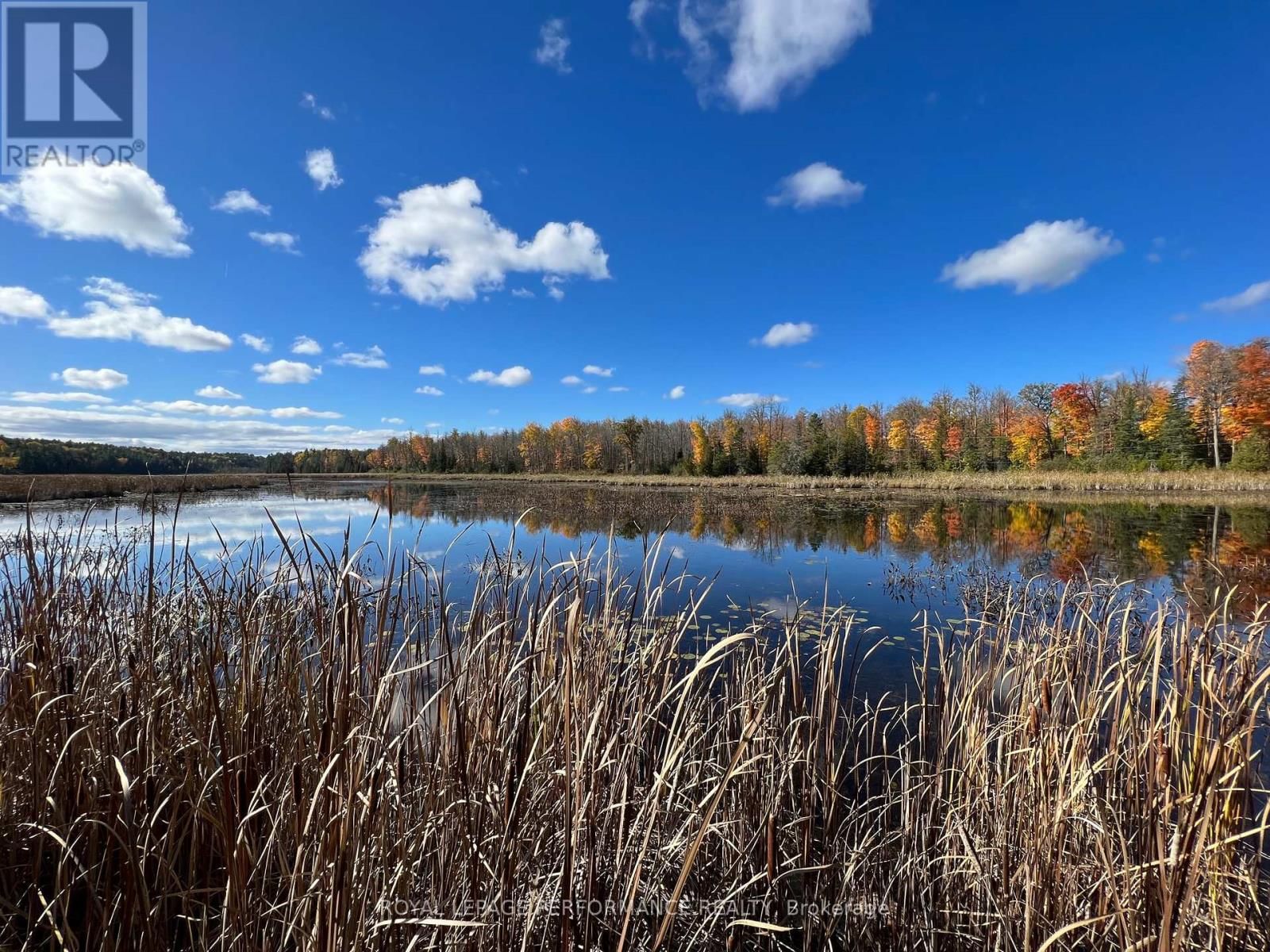 304 LACOURSE LANE Image 7