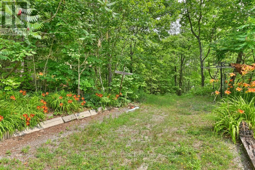 656 A YARROW LANE Image 28