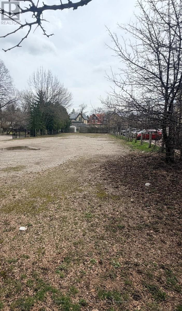 237 FREDERICK STREET Image 6