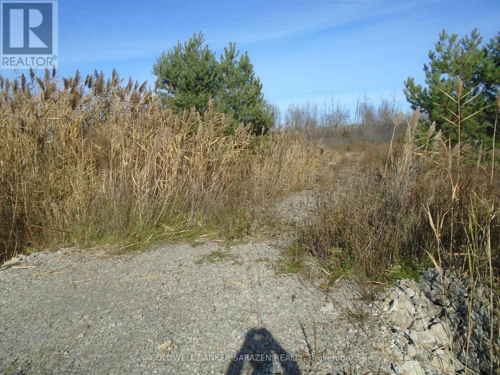 49 RIDEAU AVENUE Image 2