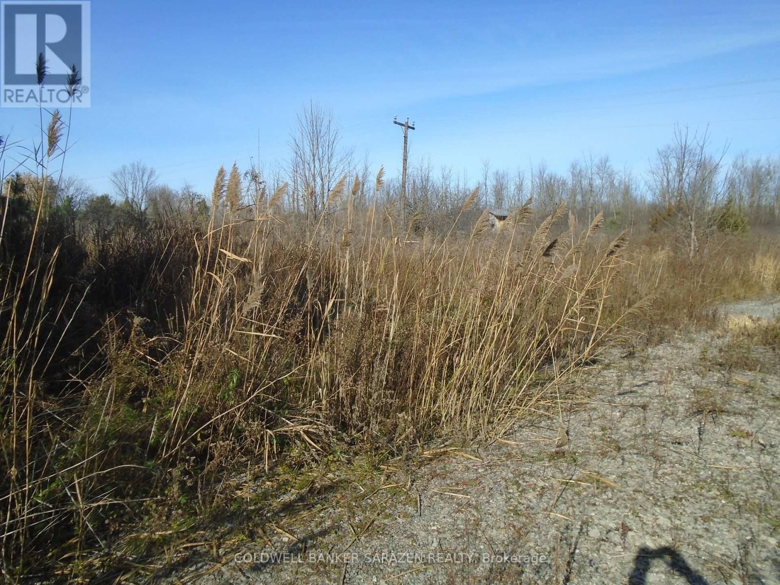 49 RIDEAU AVENUE Image 4