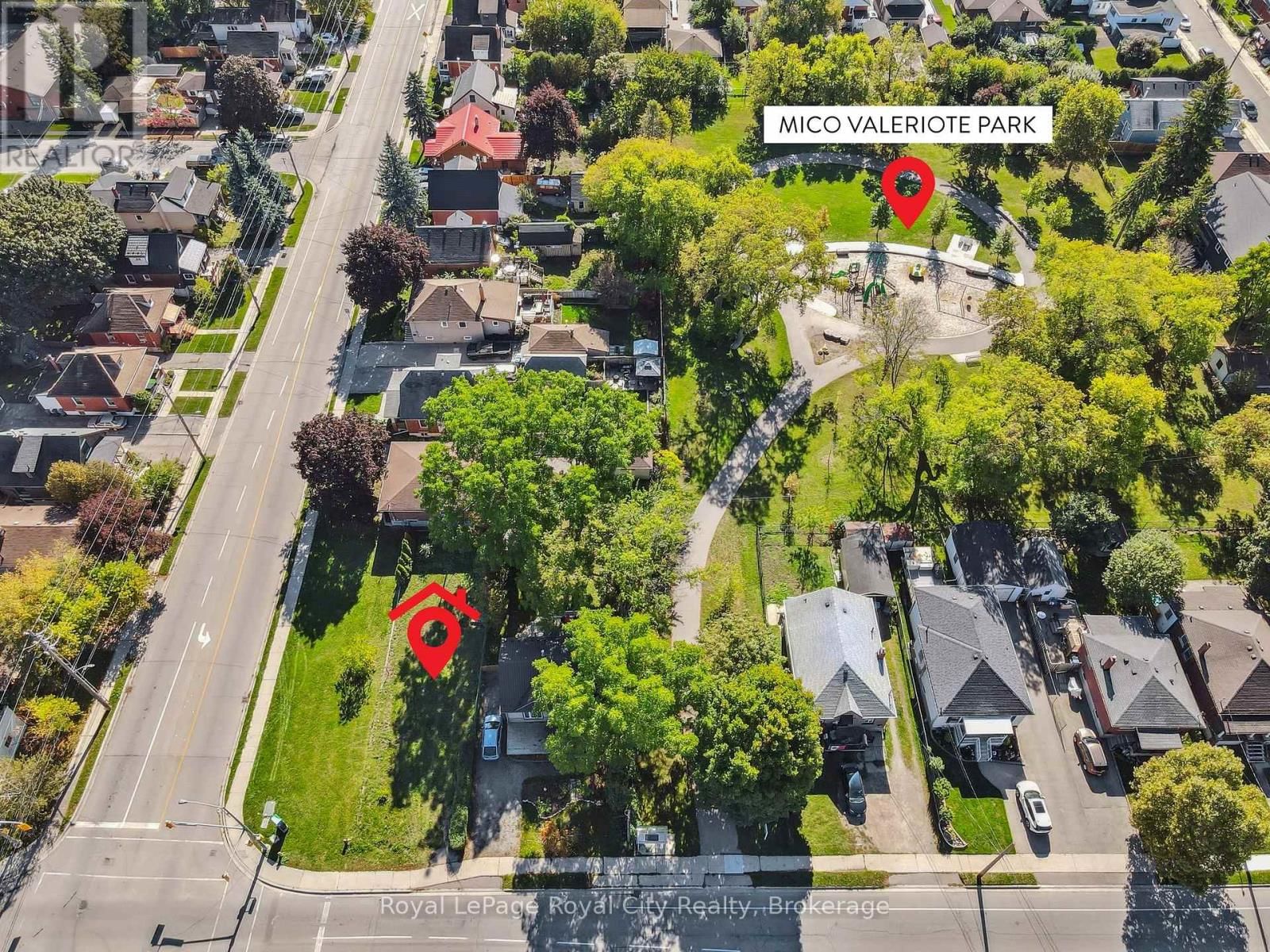 239 ELIZABETH STREET Image 5