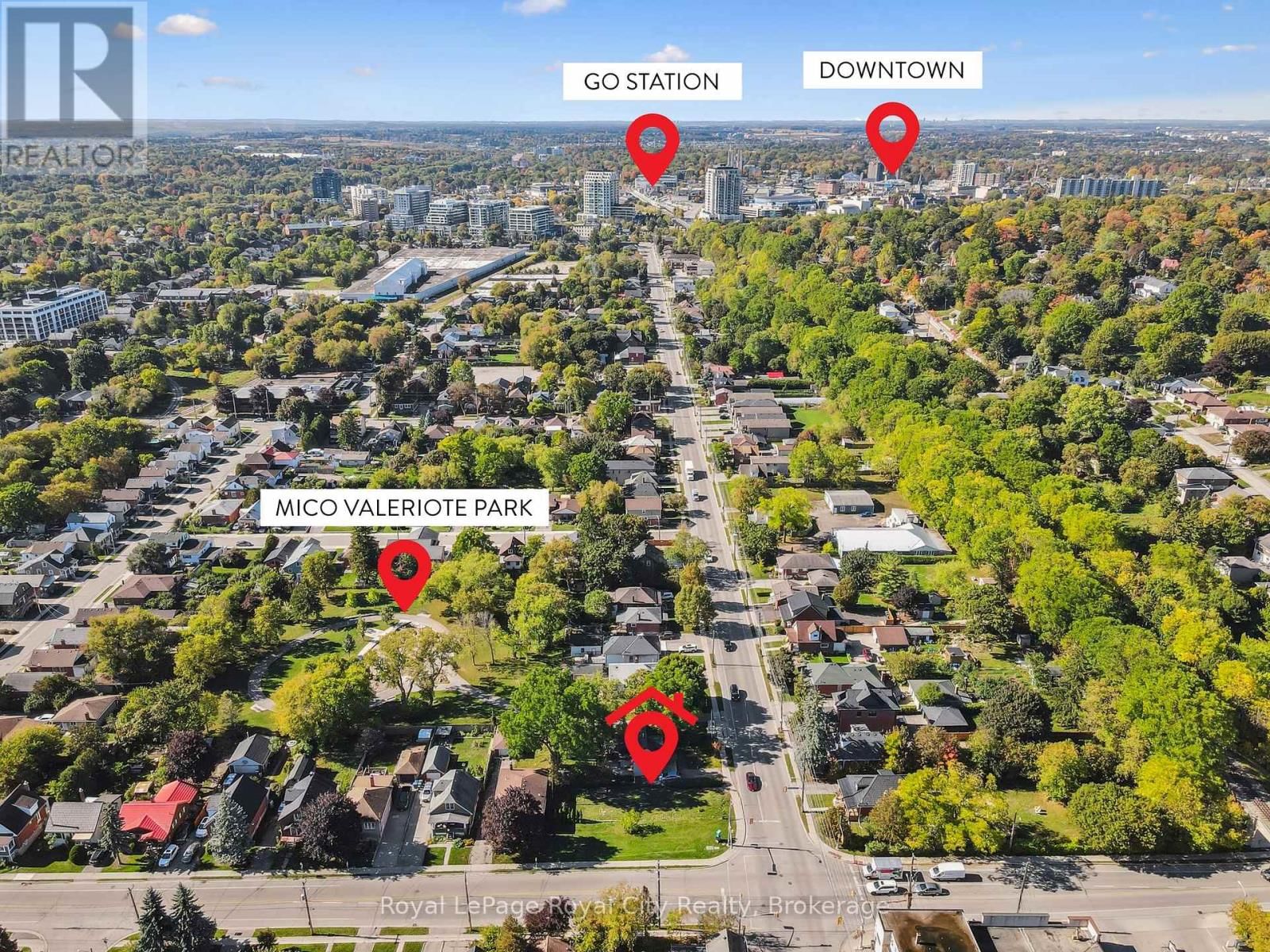 239 ELIZABETH STREET Image 6