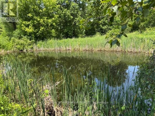 72 CORKTOWN LANE Image 39