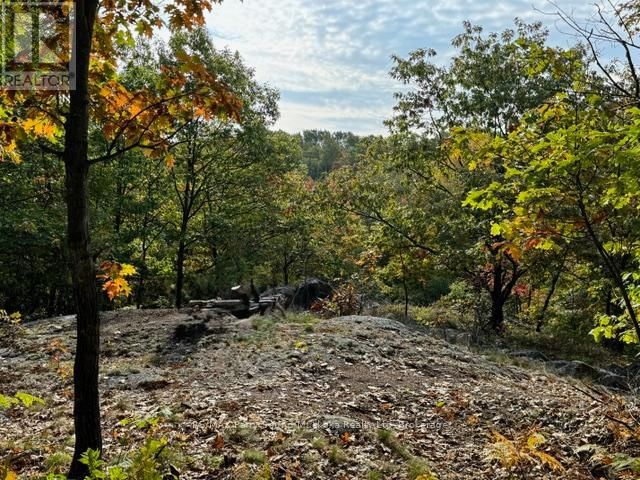 1851 INVERLOCHY ROAD Image 11