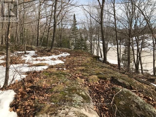 1851 INVERLOCHY ROAD Image 14