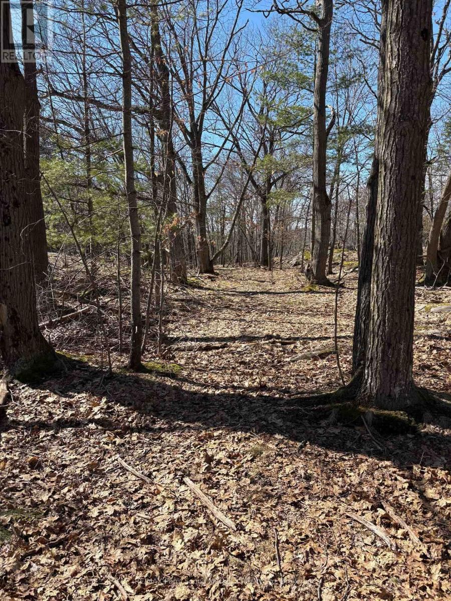 1851 INVERLOCHY ROAD Image 5