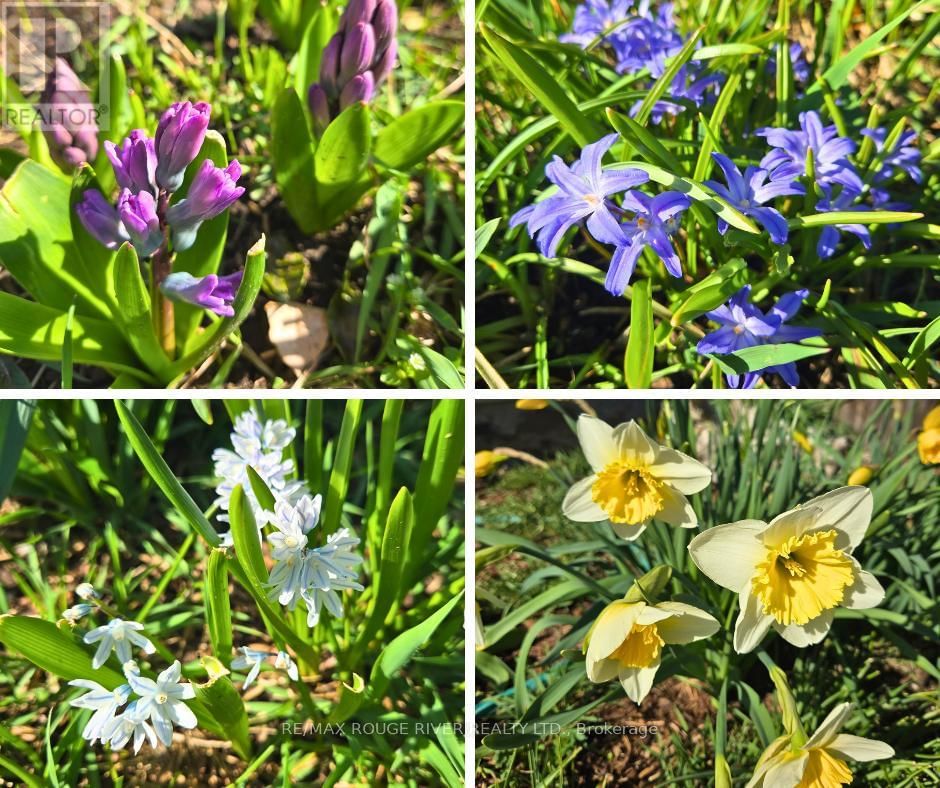 120 SPRING STREET Image 37