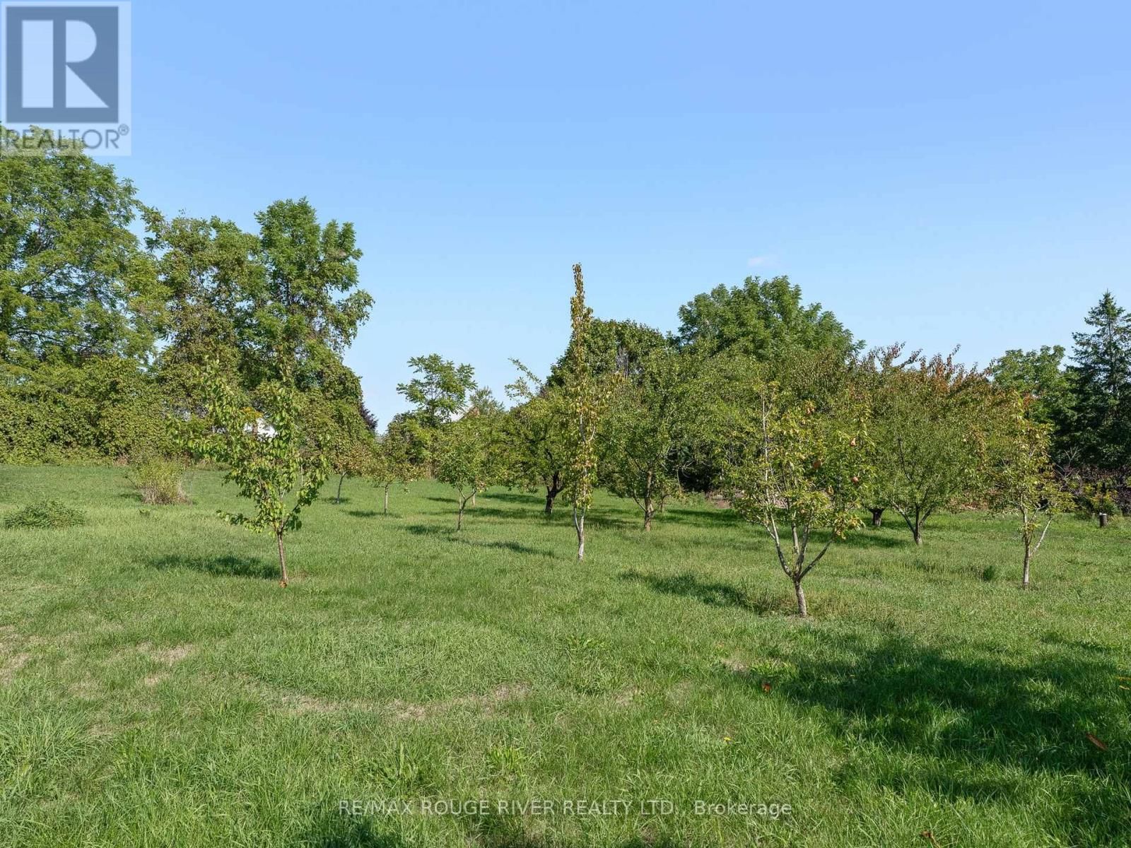 120 SPRING STREET Image 39