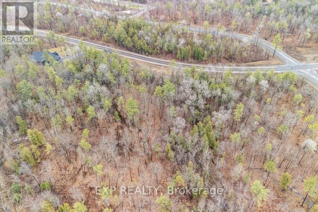 00 LONGLEAF WAY Image 8