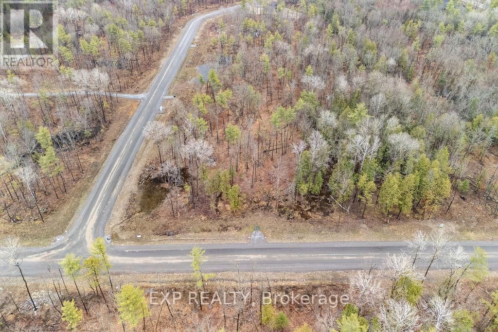 00 BLACK SPRUCE COURT Image 1