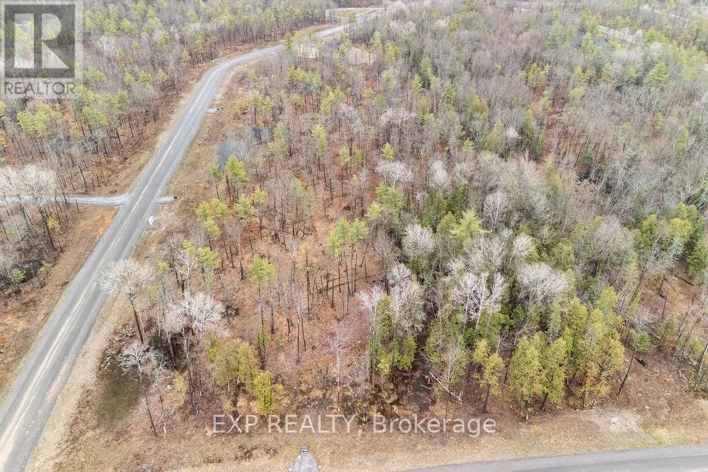 00 BLACK SPRUCE COURT Image 2