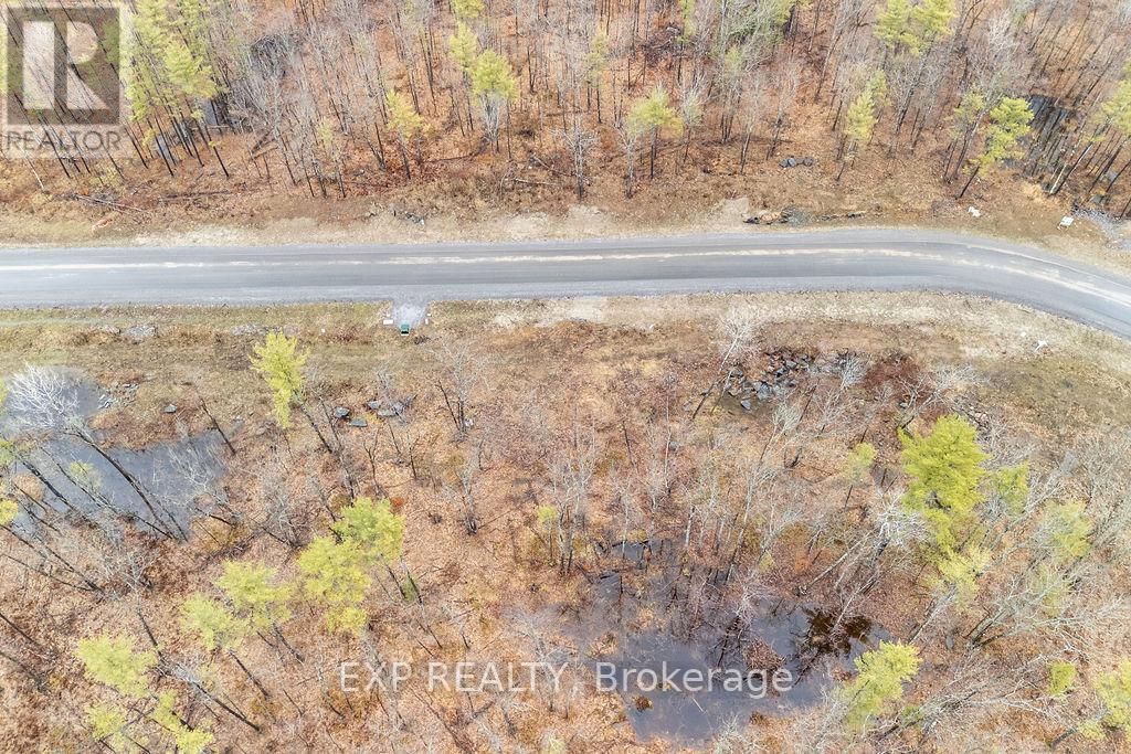 00 BLACK SPRUCE COURT Image 3