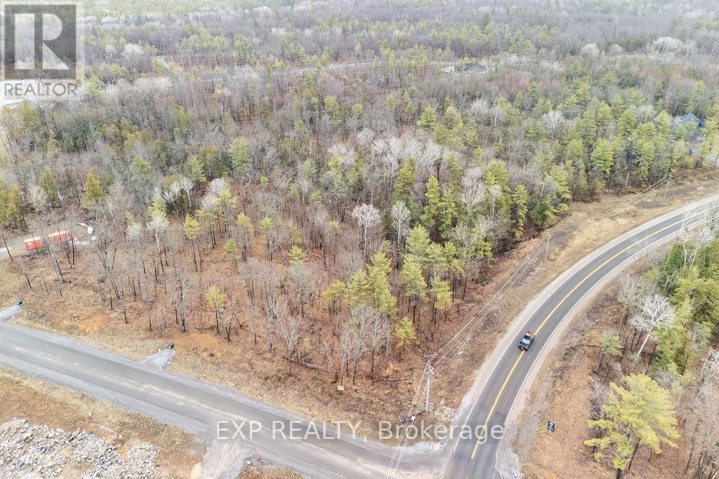 00 BLACK SPRUCE COURT Image 4