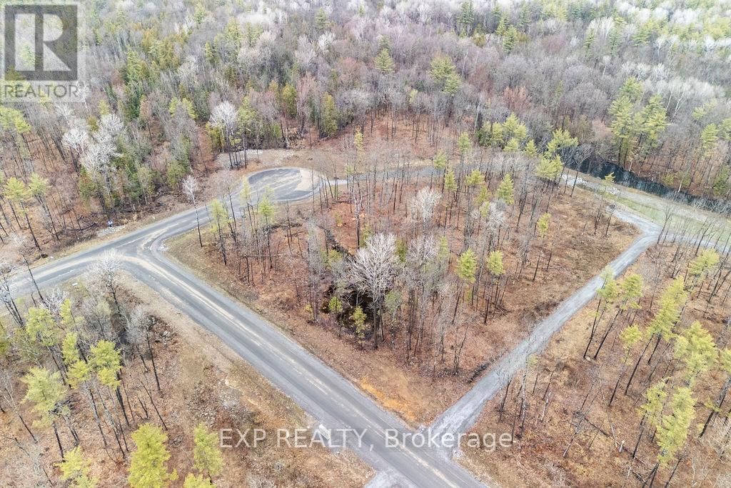 01 BLACK SPRUCE COURT Image 2